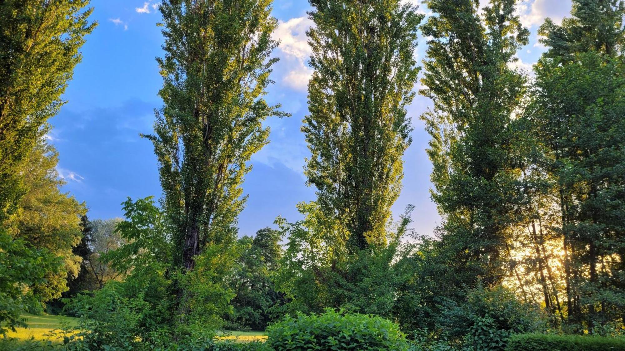 Villa Blu Sankt Kanzian am Klopeiner See Eksteriør bilde
